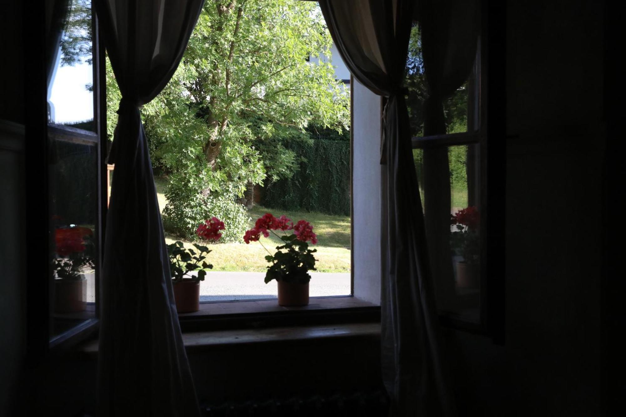 Historicke Apartmany Zelenohorska Posta Nepomuk Dış mekan fotoğraf